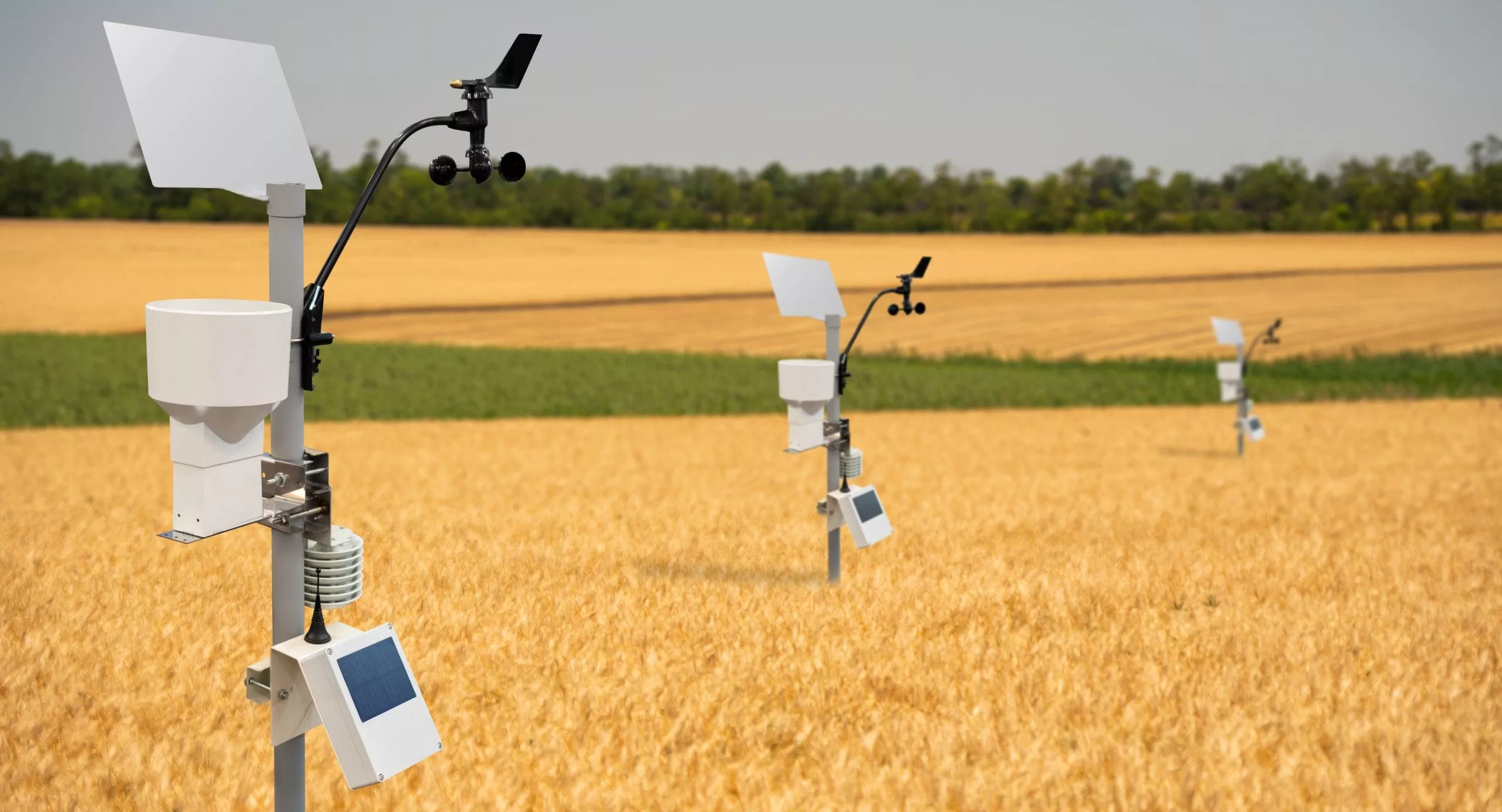 Weather station in a wheat field