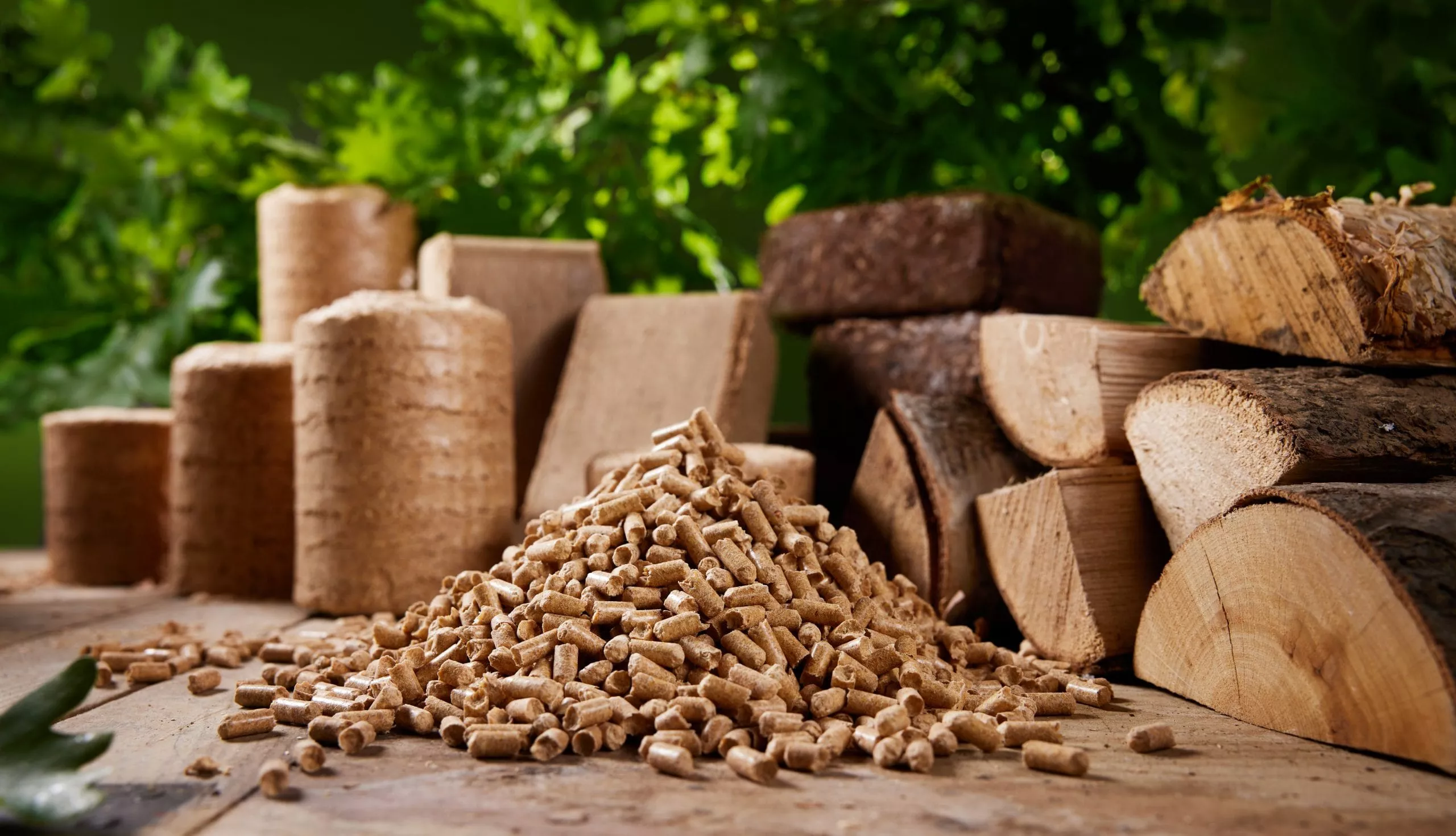 Various compressed fuels and chopped woodpile in nature