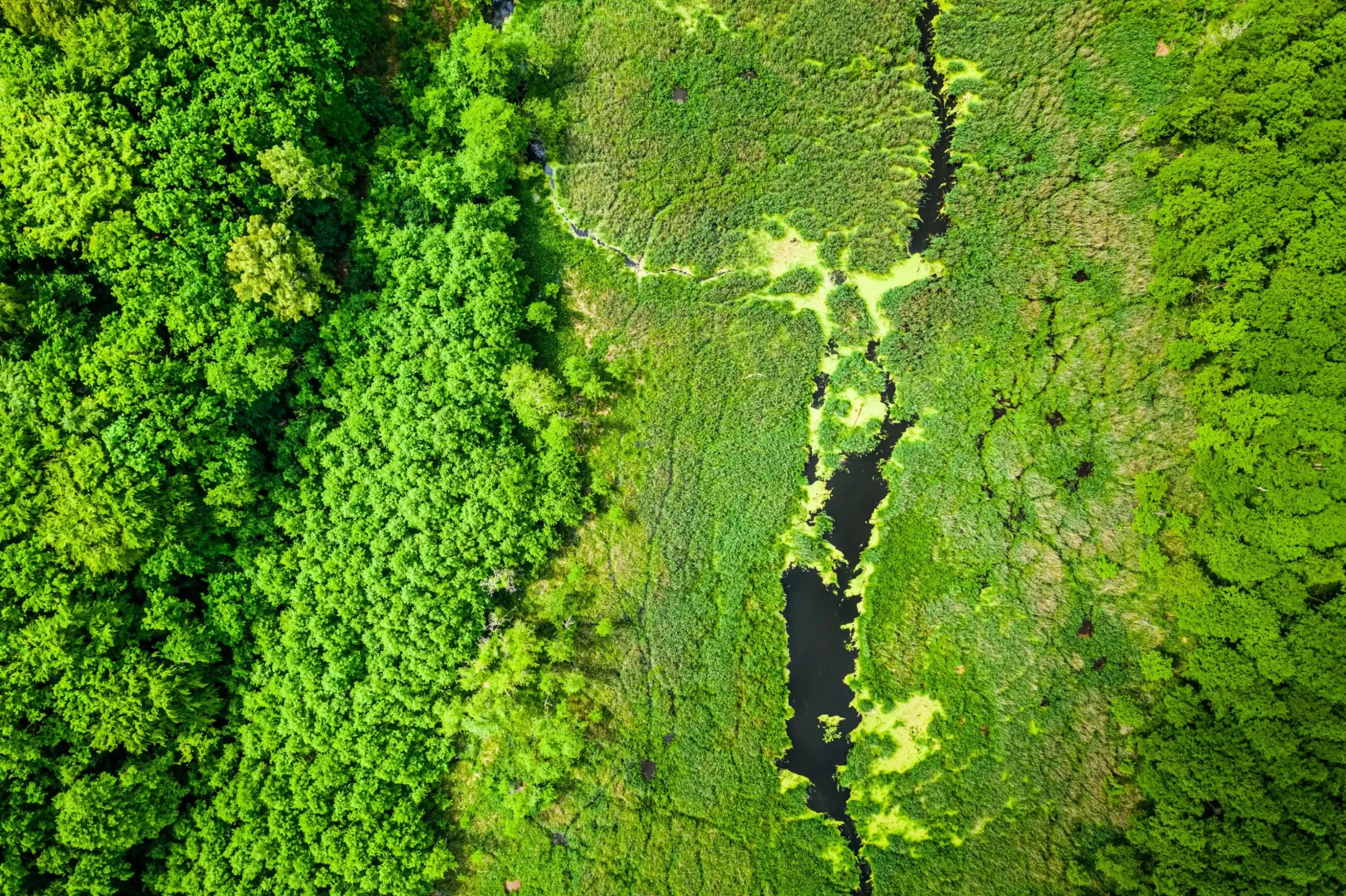 EvoLand at LPS 2025: Pioneering the future of land monitoring with innovation and impact