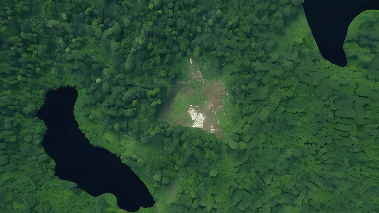 From space observations to biomass mapping: the EvoLand approach