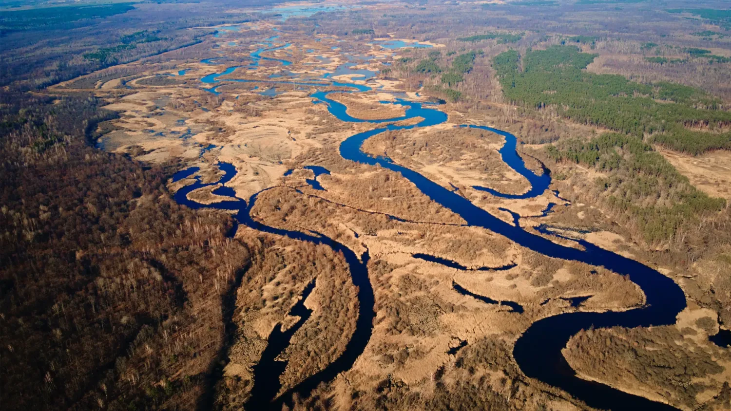 EvoLand’s new STAC Catalogue: Open data for exploring planetary change